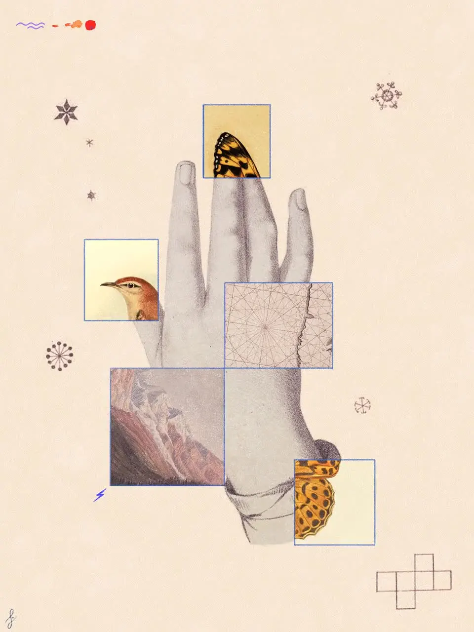 Animated collage loop (GIF): an engraved hand on cream paper whose squares cycle through birds, butterflies, landscapes and textures.