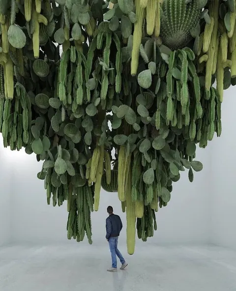 Gallery installation: a mass of cacti hanging upside down from the ceiling, with a visitor walking beneath.