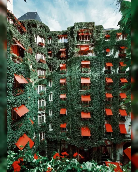 Building facade completely covered in ivy, punctuated by red window awnings.