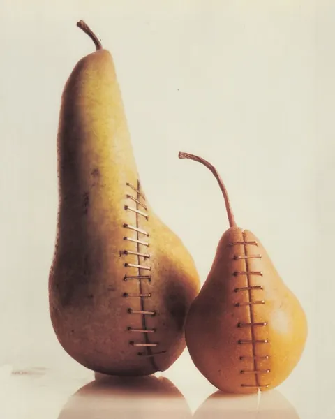 Still-life photograph of two pears stitched shut with surgical sutures.