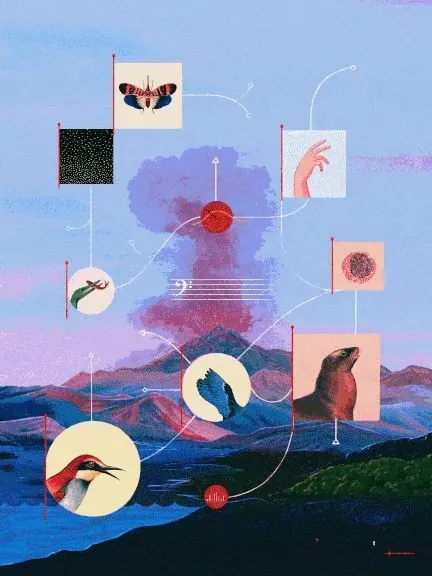 Illustration: a pink volcanic plume over blue mountains, surrounded by specimen cards of birds, moths, hands and a seal linked by thin lines.