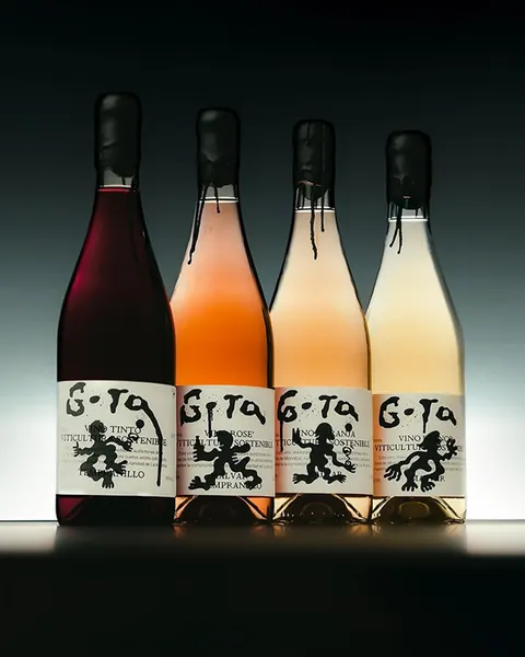 Four wine bottles with hand-illustrated labels, backlit.